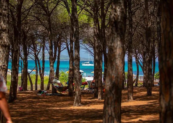 Residenze Mare e Pineta